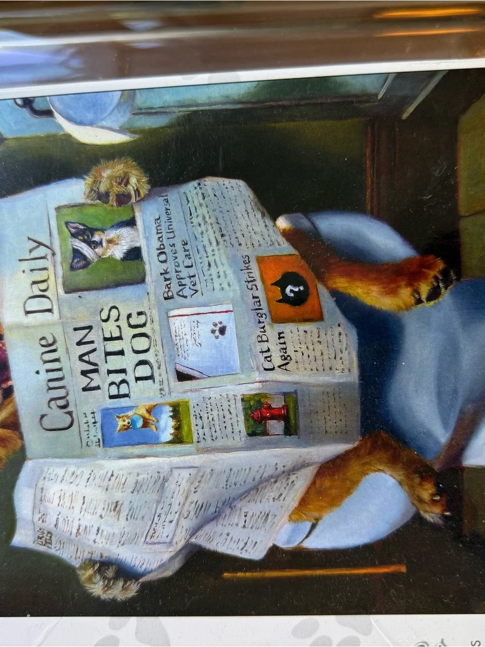 ‘Dog Gone Funny’ Puzzle - White Box with Multicolor Artwork